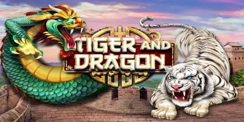 Thuật ngữ thường dùng trong game rồng hổ nohu90